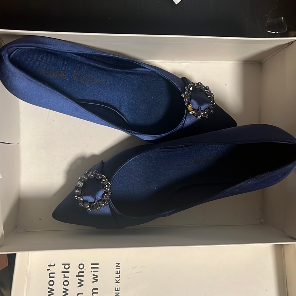 Elegant Blue Anne Klein heels